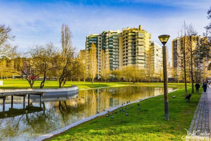 Green Executive Apartment In The Heart Of Lissabon Exterior foto